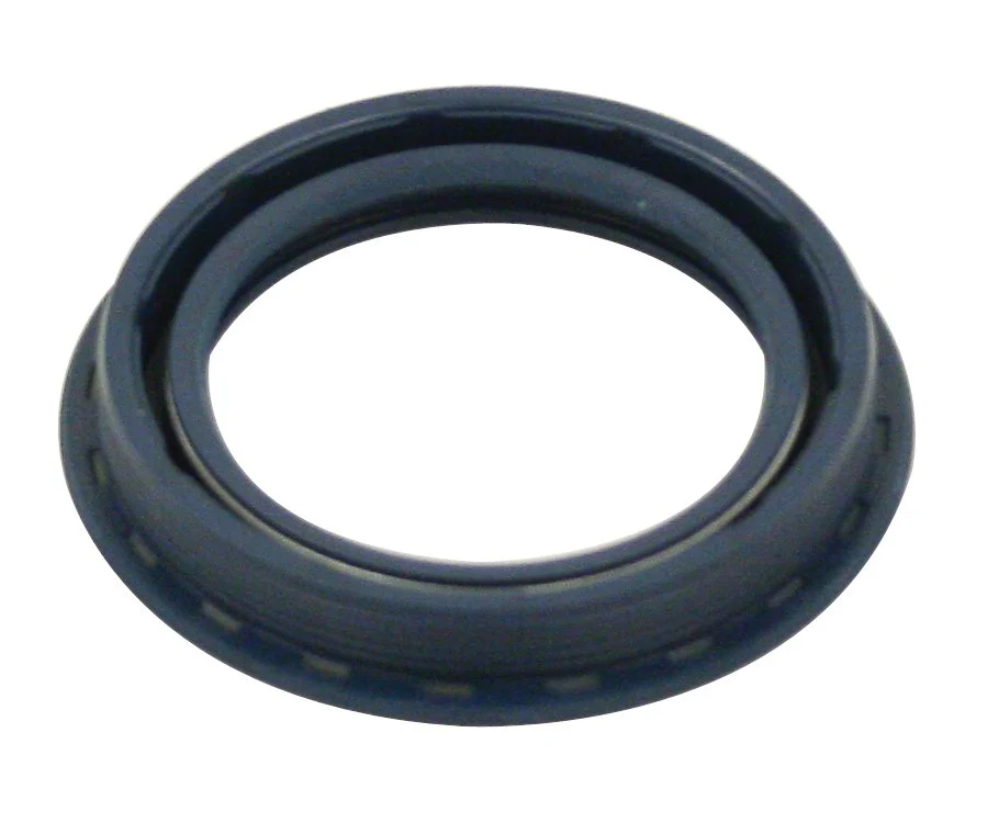 Front Wheel Seal, Type 1 & 3, 66-79 with Disc Brakes