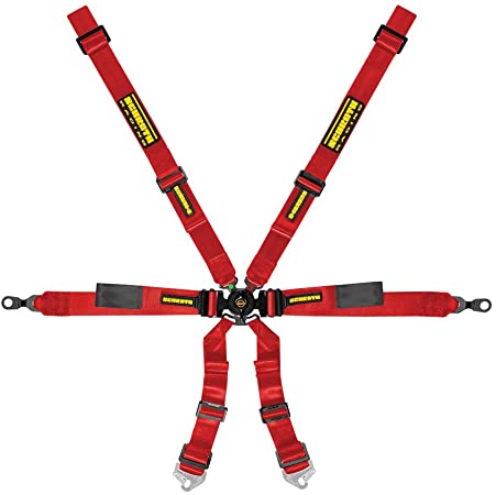 Schroth Enduro 2x2 6 Point Racing Harness for Porsche GT3/GT4 (2030 Expiry) - Image 2