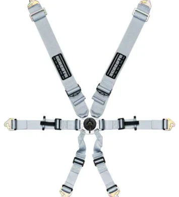 Schroth Flexi 2x2 Six-Point Racing Harness - Image 4