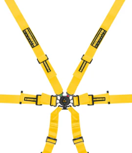 Competition Motorsport Schroth Profi 2x2 6 Point Racing Harness Porsche GT3/GT4 - Image 4